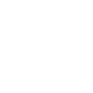 Google Plus icon